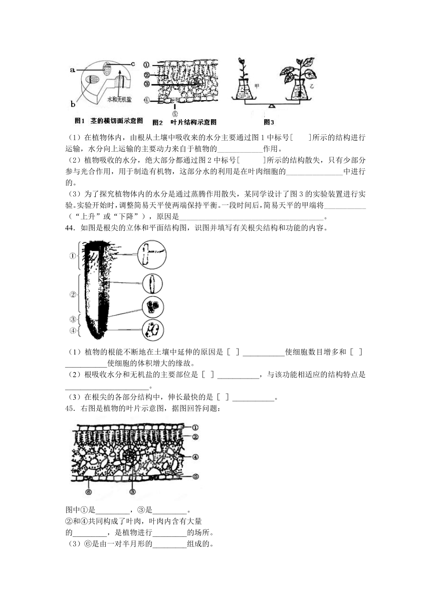 2013-2014学年度生物中考二轮复习专题卷--植株的生长