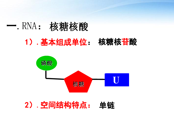 人教版必修2生物第一节--基因指导蛋白质的合成(40张PPT)