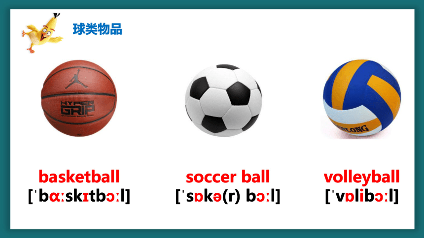 Unit 5 Do you have a soccer ball词汇语法精讲精练 实意动词句式变化思维导图课件34张