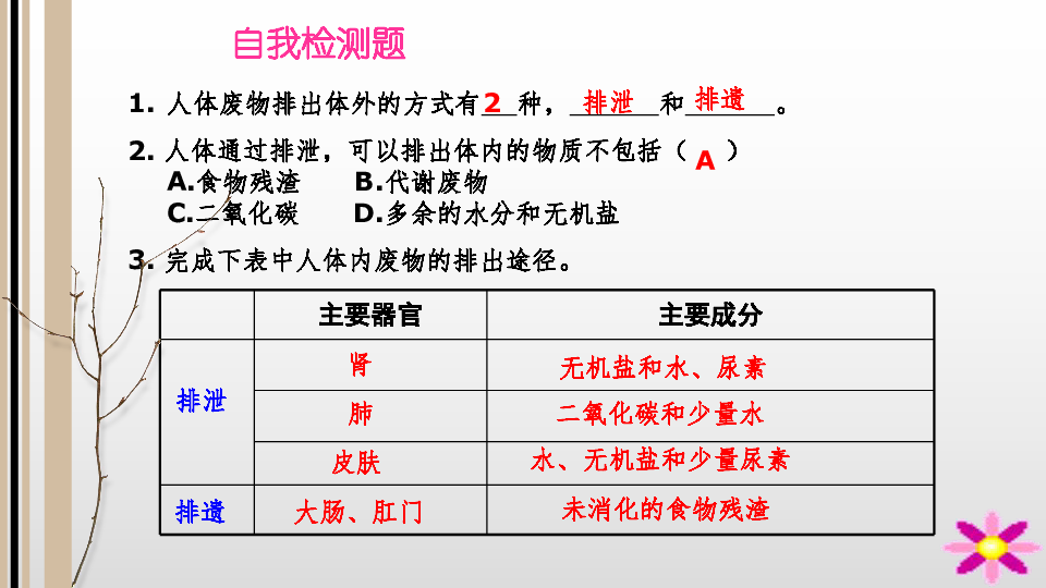 5 人体内废物的排出1 人教版七年级下册生物课件(共14张PPT)