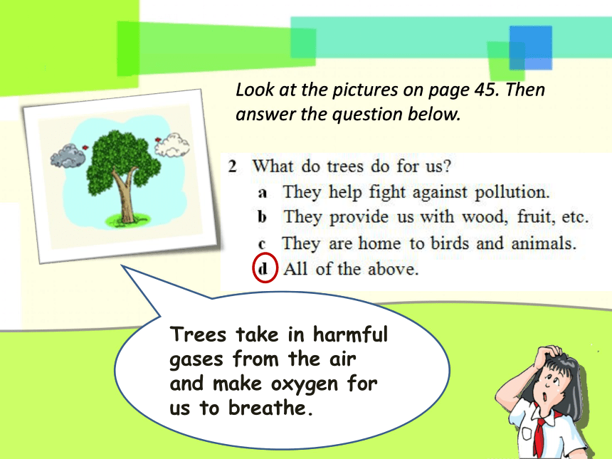 Unit 4 Save the trees-Period Reading 课件
