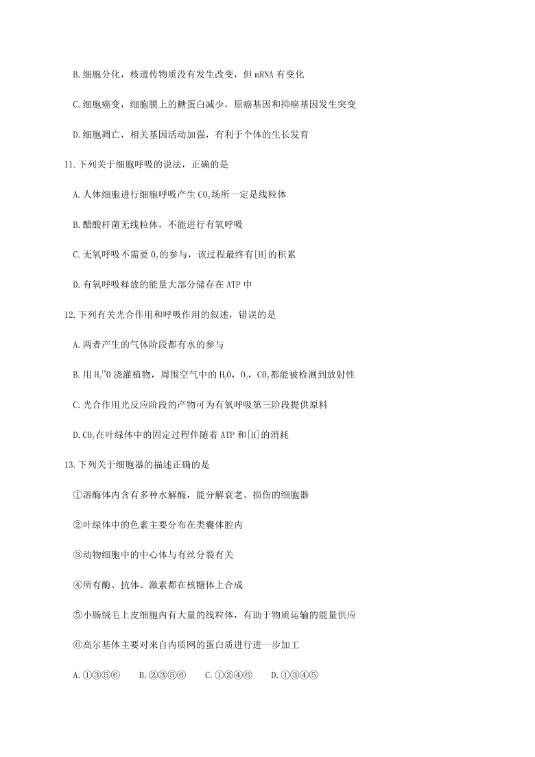 吉林省辽源市友好学校第七十届2021届高三上学期期末联考生物试题         含答案