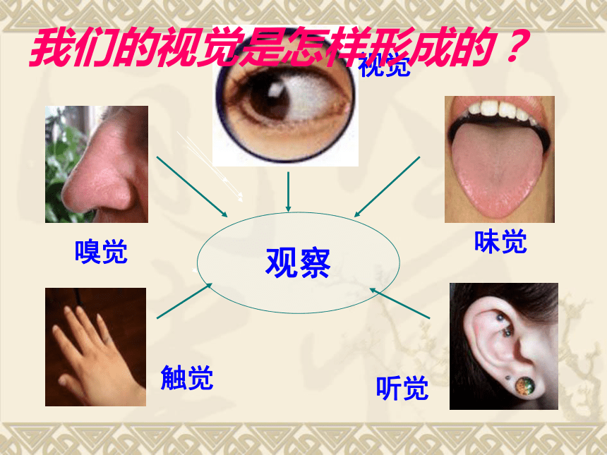 人教版生物七年下册第六章第一节人体对外界环境的感知 34张PPT