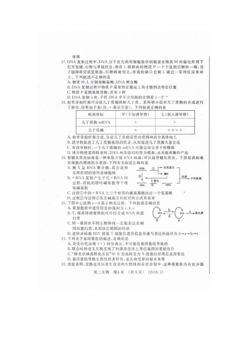 河南省洛阳市2017-2018学年高二上学期期末考试生物试卷（扫描版）