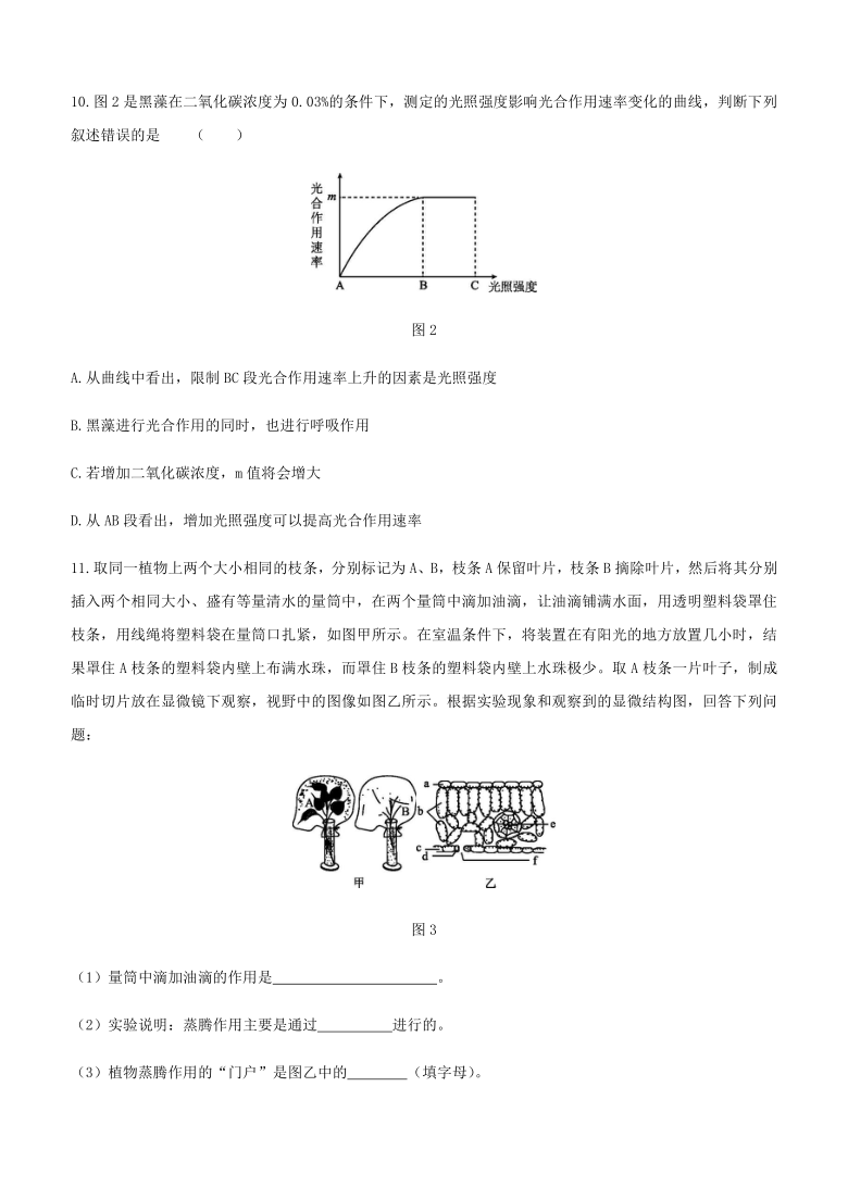 2021年内蒙古包头市中考生物专题提升训练03    生物圈中的植物（word版含解析）