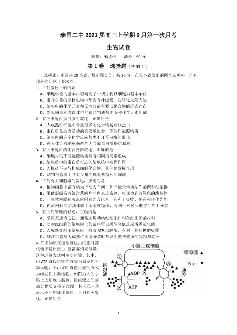 江西省瑞昌二中2021届高三上学期9月第一次月考生物试卷