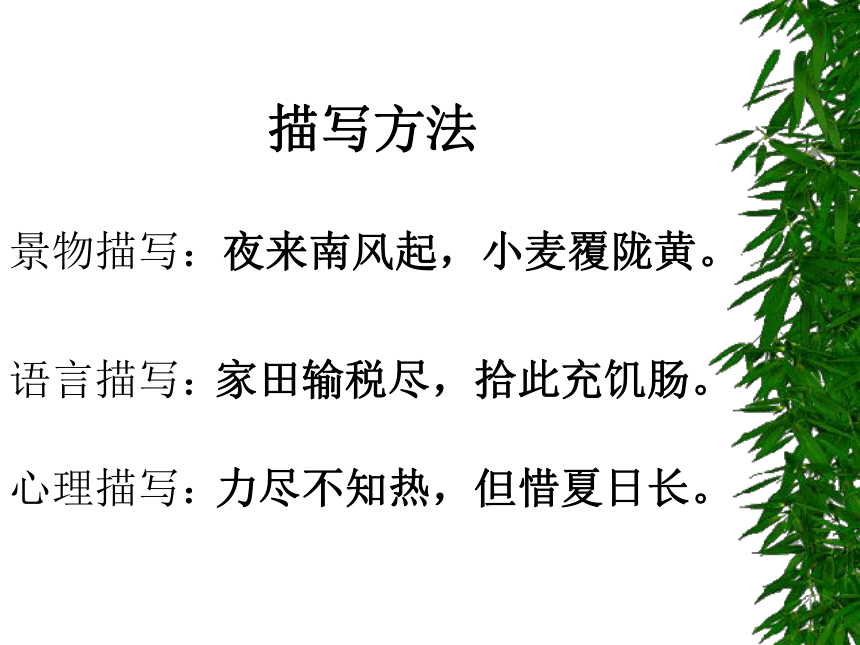 30.诗词五首 课件