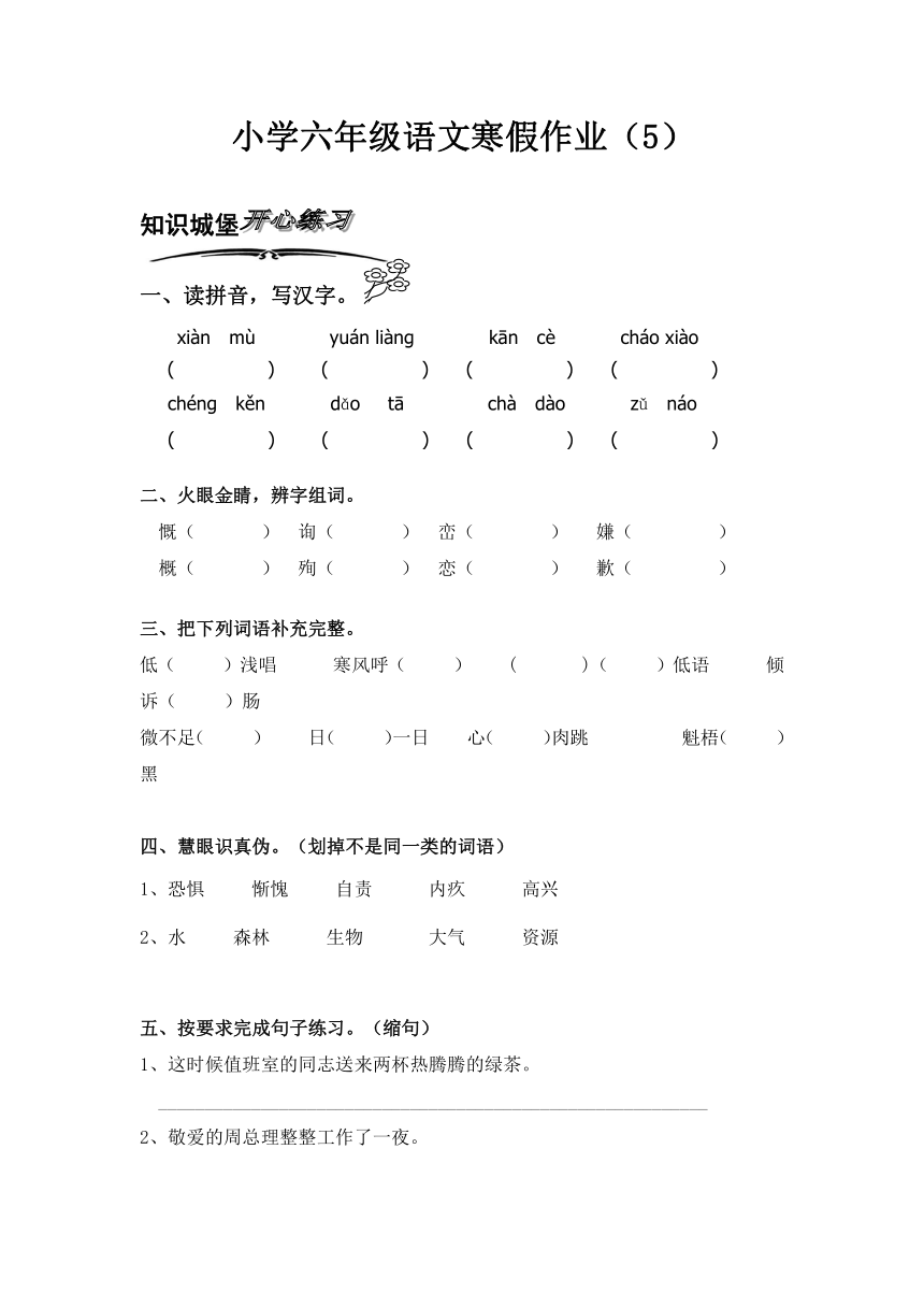 北师大版小学语文六年级上册寒假专项训练（5）