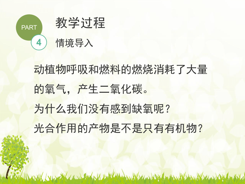 3.5.1光合作用吸收二氧化碳释放氧气说课课件(共14张PPT)