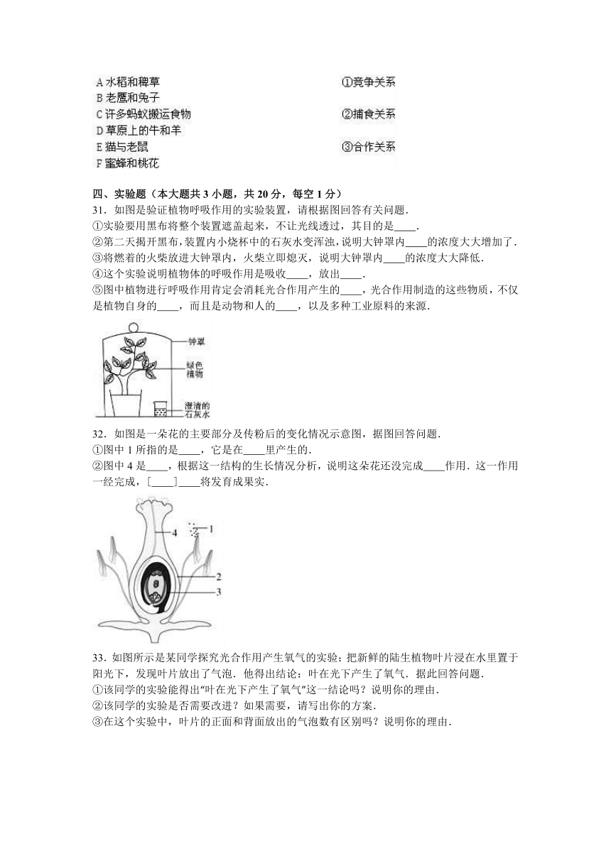 安徽省淮北市2016-2017学年七年级（上）期末生物试卷（解析版）