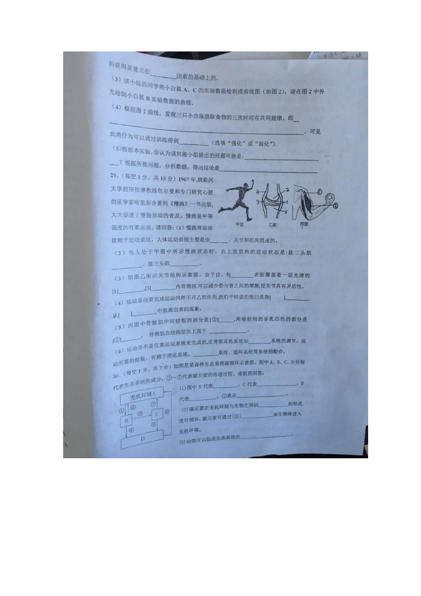 内蒙古巴彦淖尔市前旗四中2018—2019学年第一学期八年级生物第一次综合能力试题（图片版，有答案）