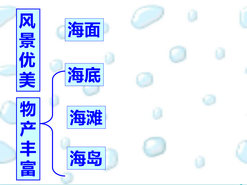 语文四年级上人教版（新疆专用）5.1《富饶的西沙群岛》课件（58张）