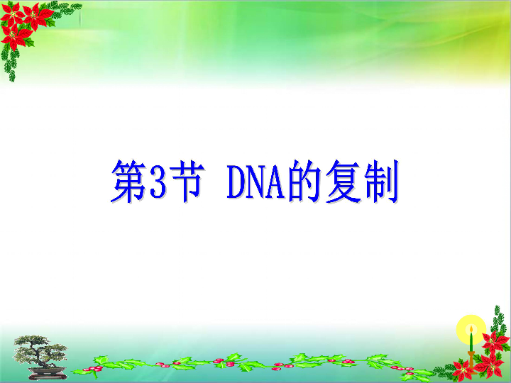 高中生物人教版必修二：3.3  DNA的复制  课件（25张PPT）