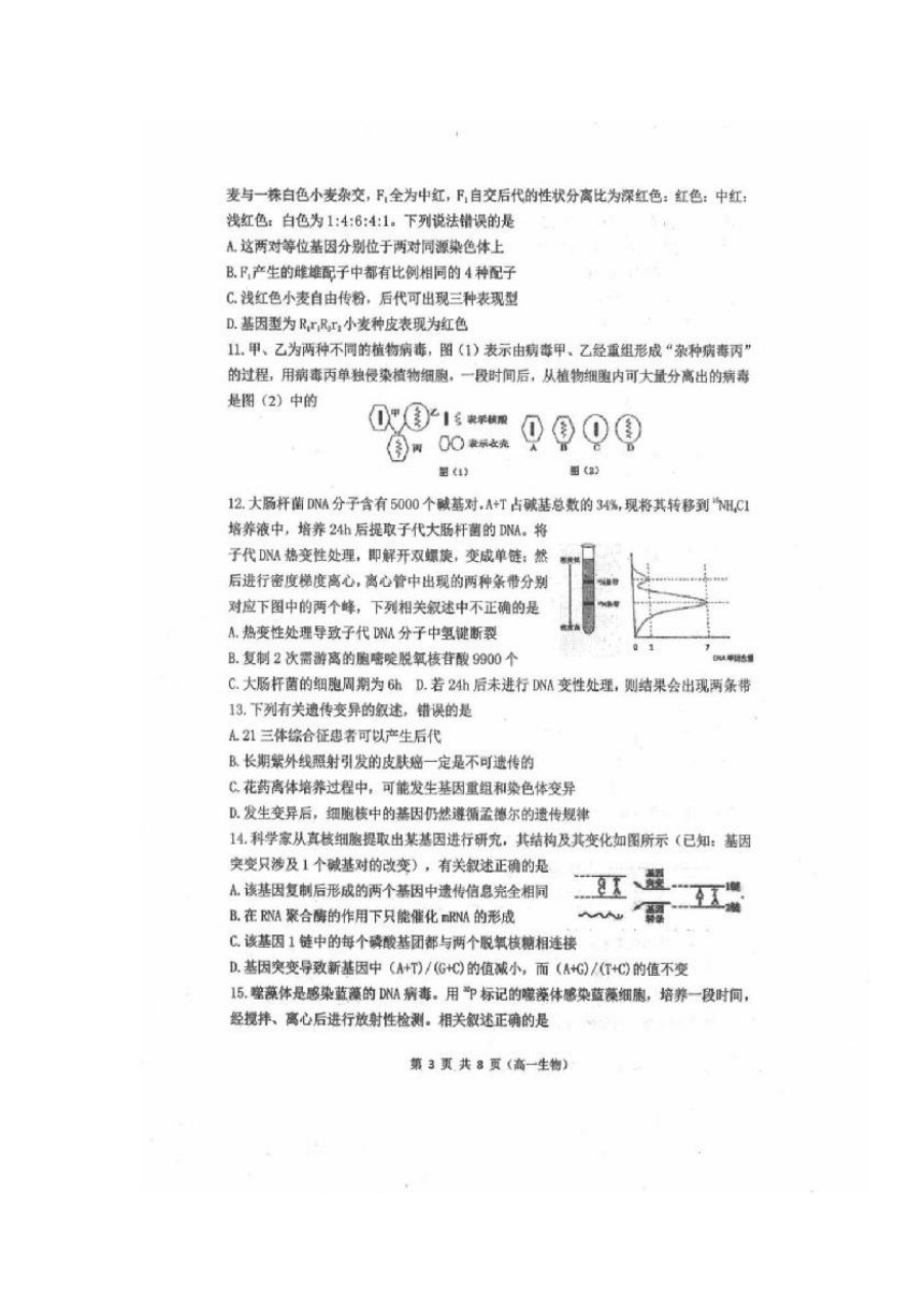 2017-2018学年山西省临汾第一中学高一下学期第二次阶段考试生物 扫描版