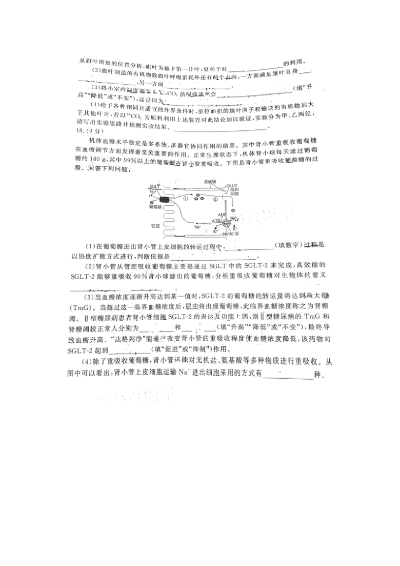 湖南省益阳市2021届高三下学期4月模拟考试生物试题 图片版含答案