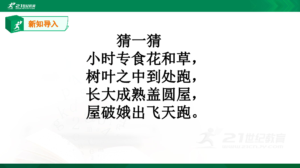 22《小毛虫》课件