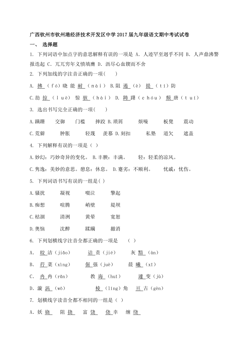 广西钦州经济技术开发区中学2017九年级下期中考试语文试题（含答案）