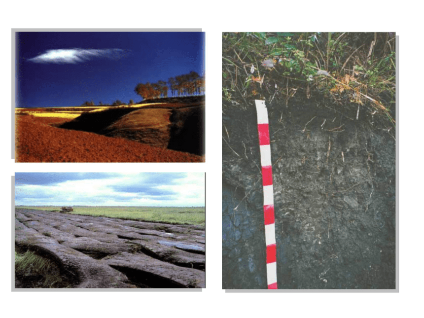 科学四年级下青岛版3.10保护土壤课件 （38张）