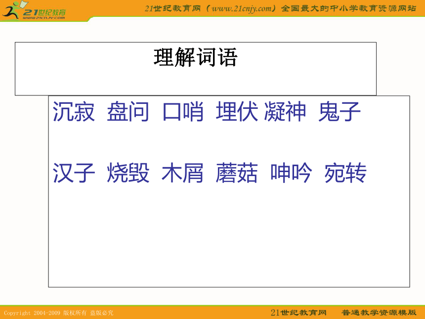 四年级语文上册课件 夜莺的歌声 2（鲁教版）