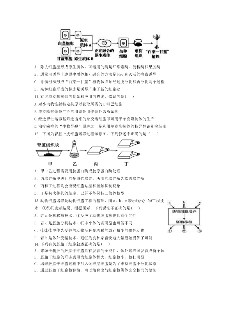 辽宁省大连市普兰店三十八中2021届高三第一学期开学考试生物试卷