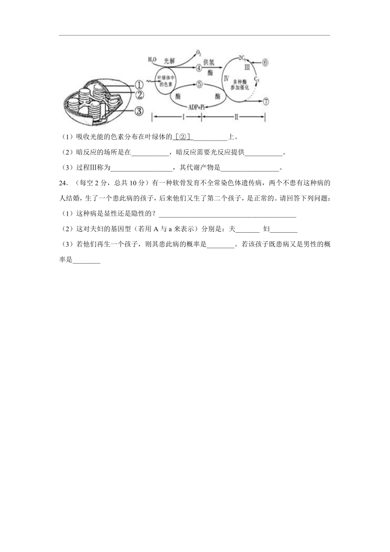 西藏林芝二中2019-2020学年高一下学期第二学段考试（期末考试）生物试卷（解析版）