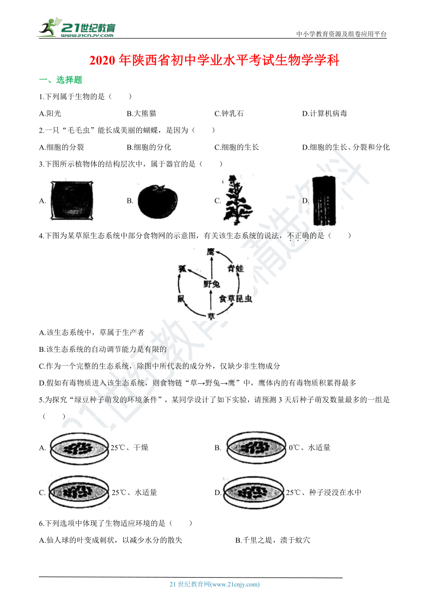 2020年陕西省中考生物真题详解审校版