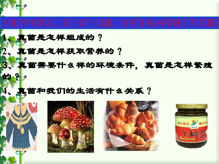 六年级下册科学课件-2.1 观察我们身边的真菌 北京课改版(共15张PPT)