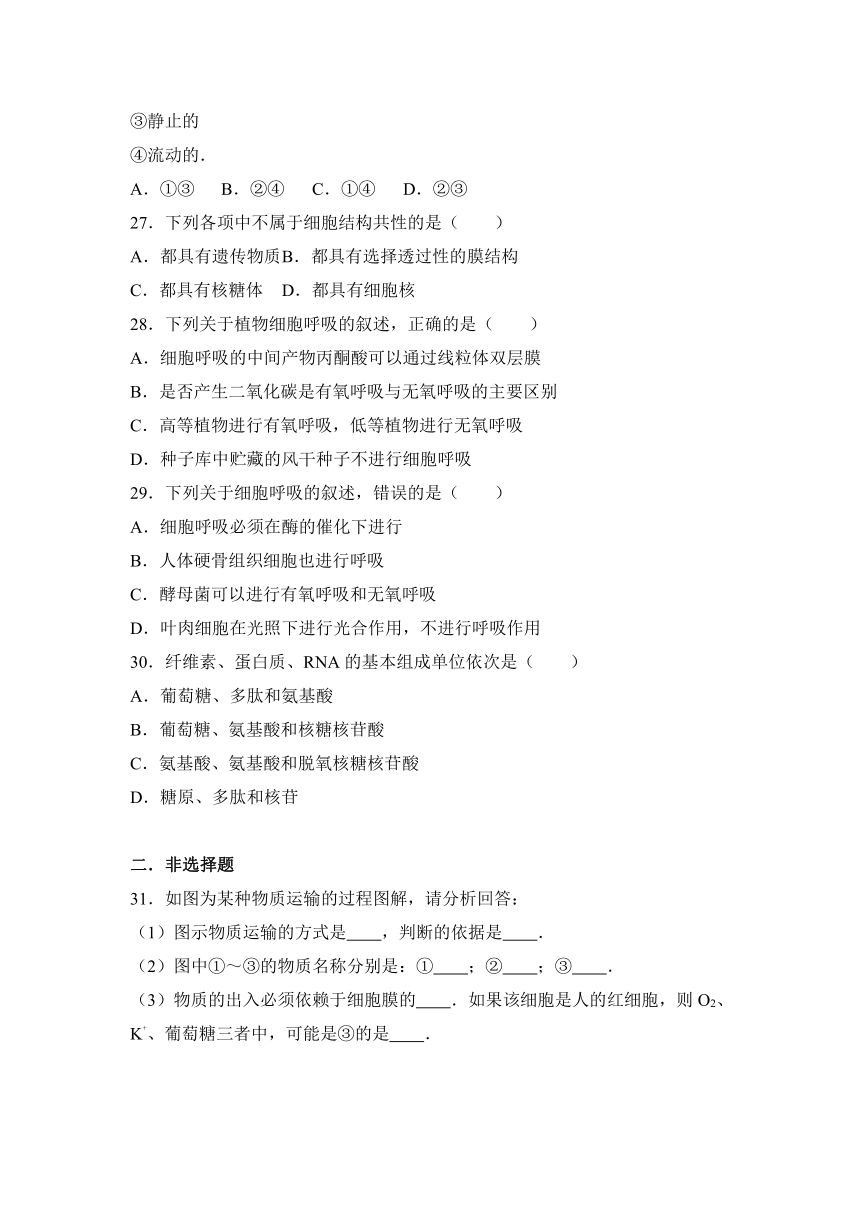 四川省阿坝州茂县中学2016-2017学年高一（上）期末生物试卷（解析版）