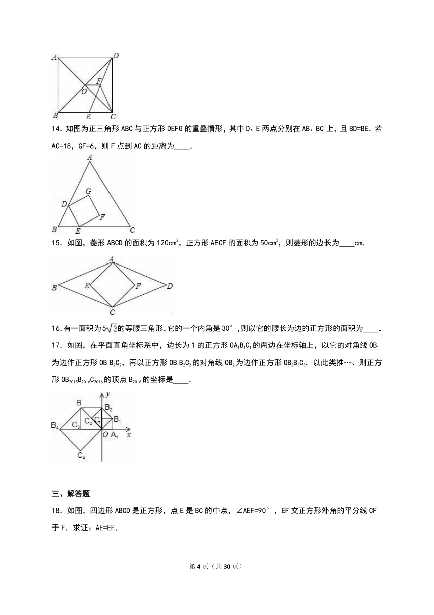 1.3正方形  同步练习(含答案解析)