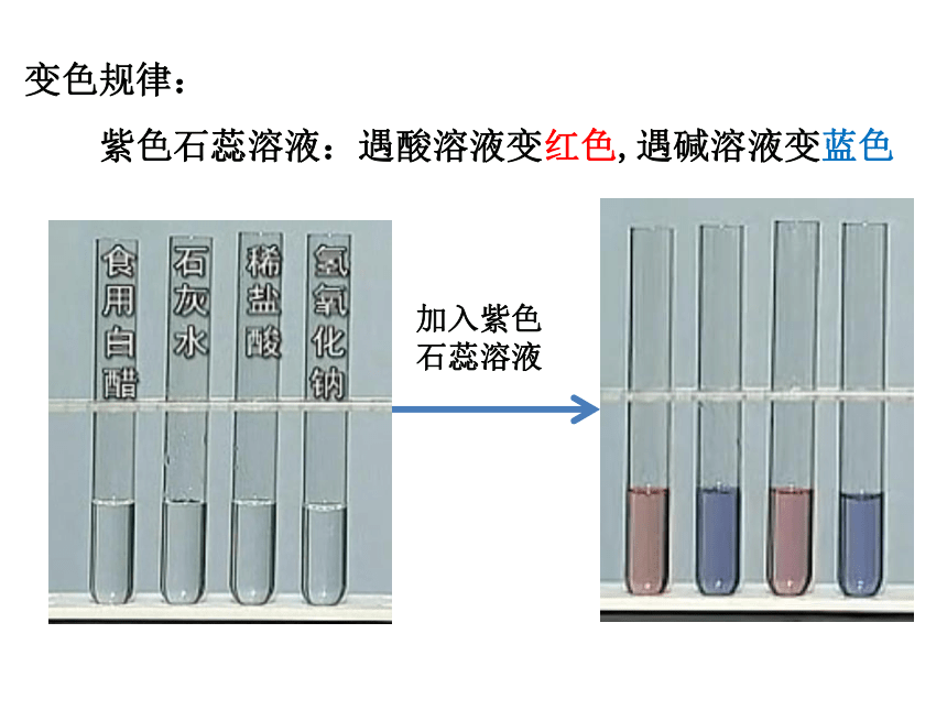 石蕊遇碱变什么颜色图片