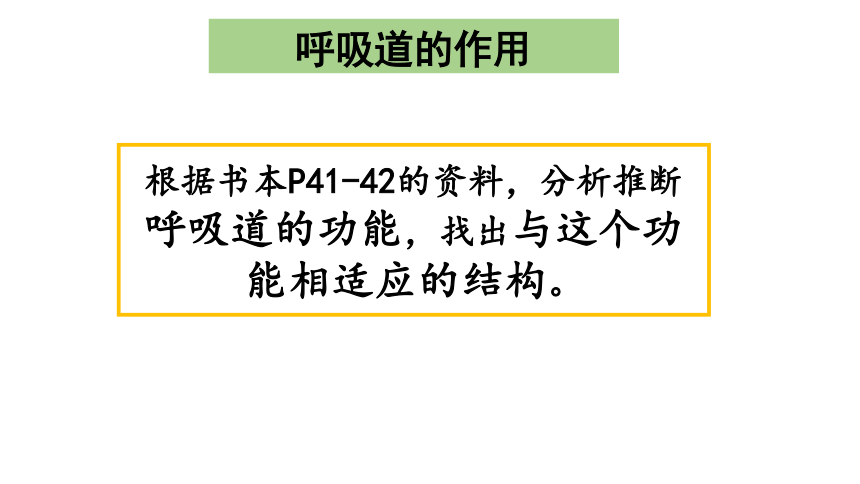 431呼吸道對空氣的處理同步教學課件16頁ppt