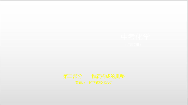 2020届广东中考化学复习课件  专题八　化学式和化合价（90张PPT）