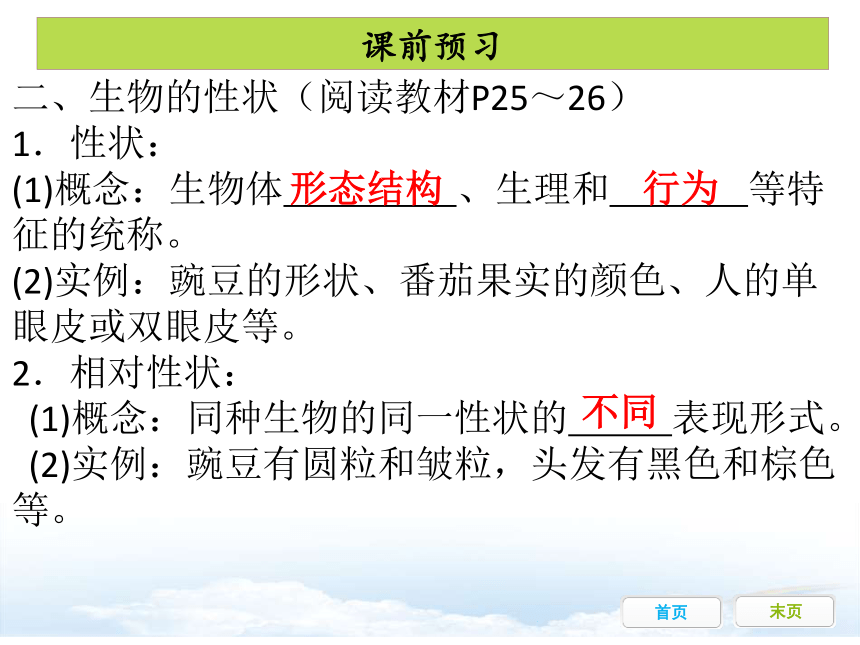 第一节 基因控制生物的性状 课件（共25张PPT）