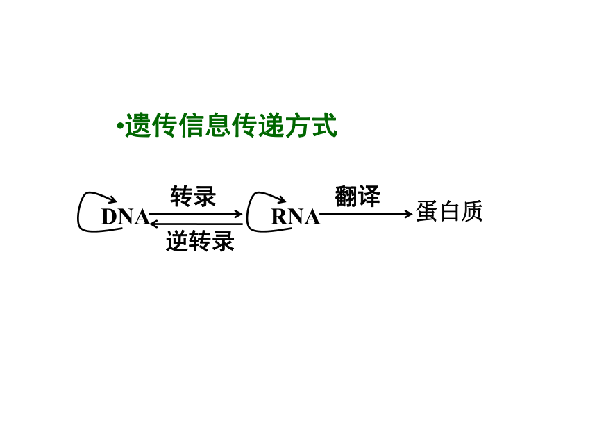 浙科版选修3第一章第一节工具酶的发现和基因工程的诞生