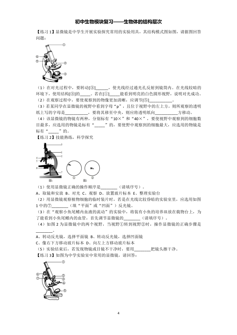 初中生物模块复习（七上2）——生物体的结构层次