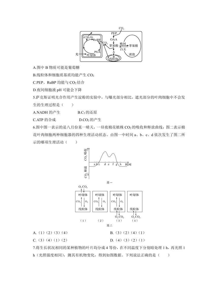 陕西省黄陵中学高新部2019届高三上学期开学考试生物试题