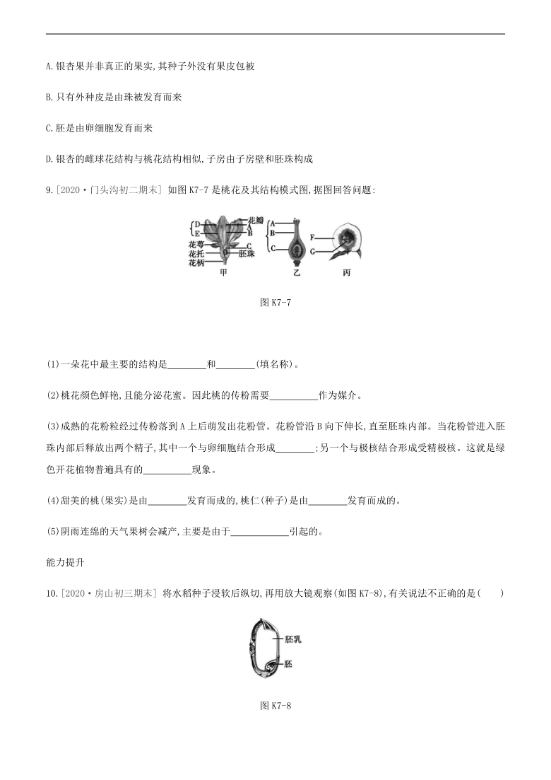 2021年北京市中考生物一轮复习分层训练：课时训练(七)　 被子植物的一生（word版含解析）