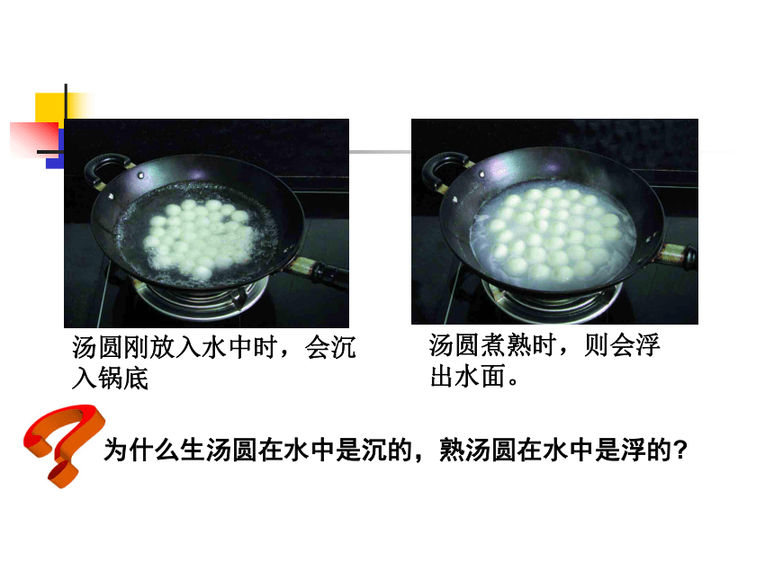 8.6 物体的浮沉条件