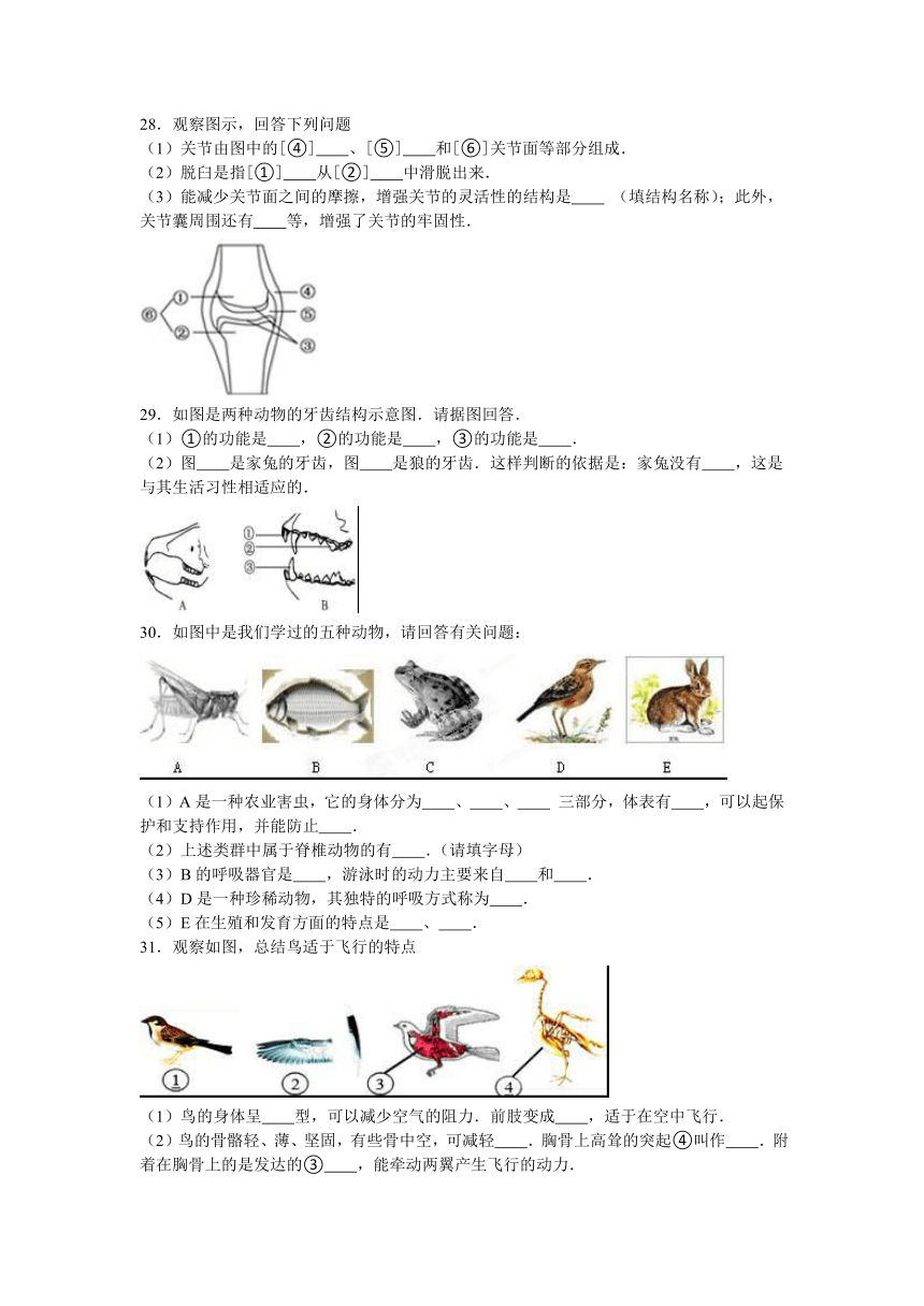 海南省海口市龙华区第六学区2016-2017学年八年级（上）期中生物试卷（解析版）