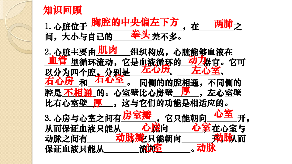 输血与血型  课件  (共28张PPT)