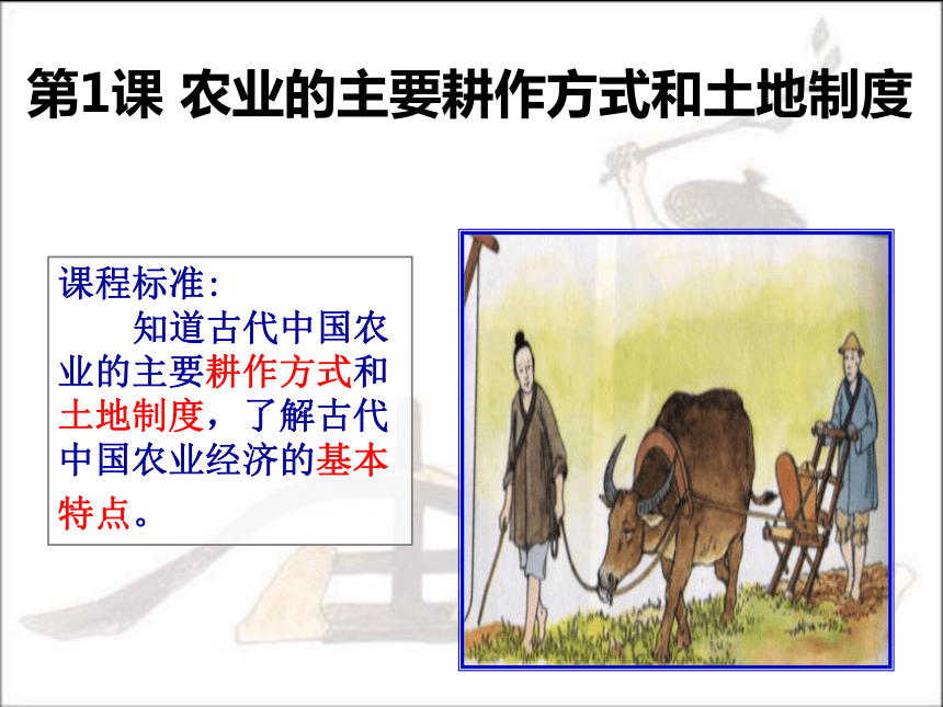 北师大版高中历史必修二：1.1农业的主要耕作方式和土地制度 课件2