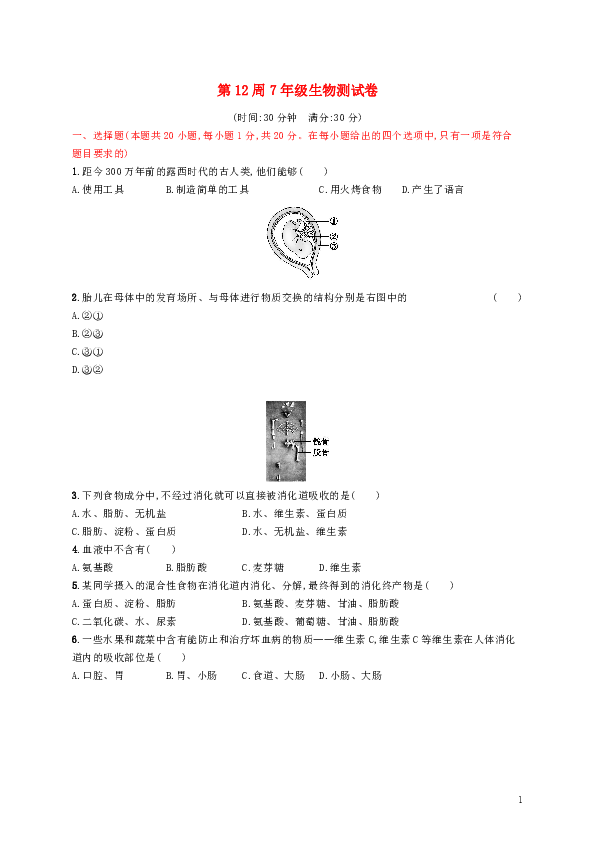 2019春七年级生物下册期中测评（无答案）