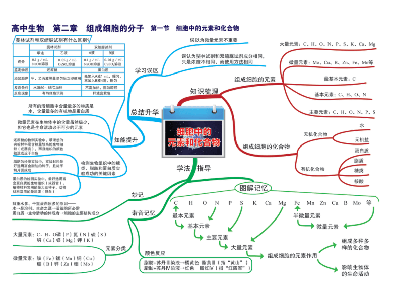 高中生物思維導圖