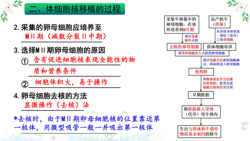 体细胞核移植流程图图片