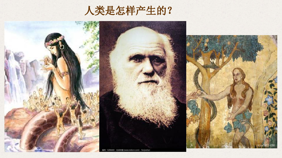 第1课中国早期人类的代表—北京人  课件（23张 PPT）