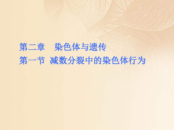 2019高中生物第二章染色体与遗传2.1减数分裂中的染色体行为课件浙科版必修2（38张）