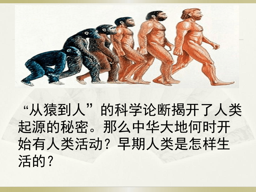 人教版七上第1课 中国早期人类的代表——北京人 课件（41张）