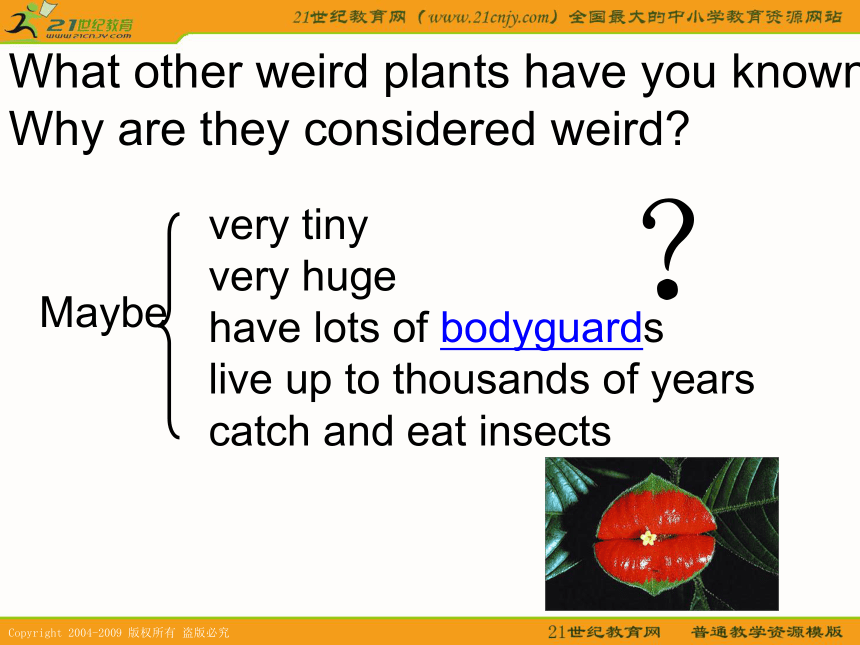 英语：chapter 9 the weird world of plants课件（深圳牛津九年级）