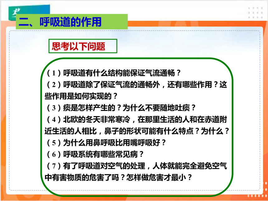 431呼吸道對空氣的處理課件共19張ppt