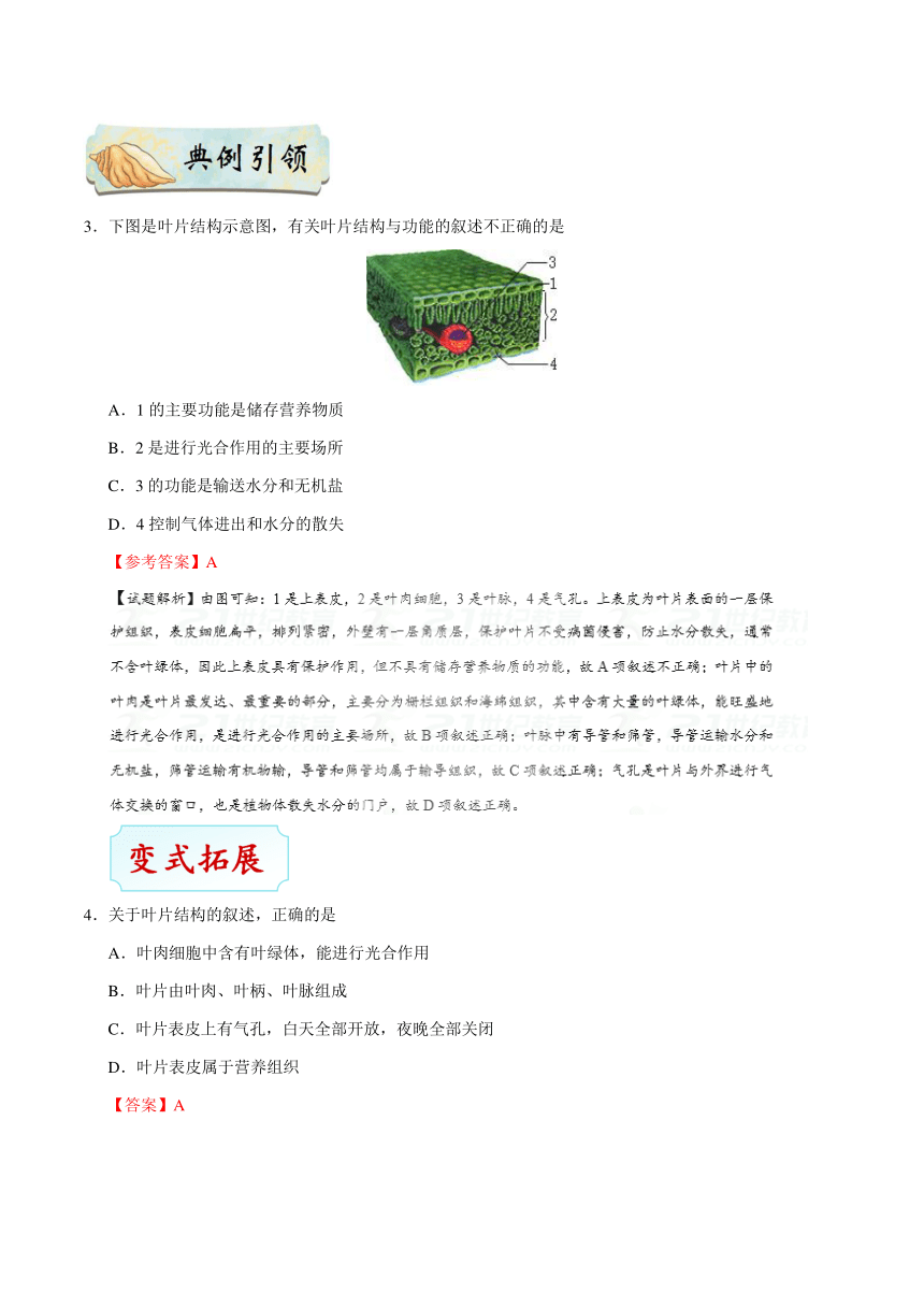 考点15 植物的蒸腾作用-备战2018年中考生物核心考点全突破